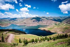 Technical Support Services